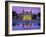 West Front of the Casino, Monte Carlo, Monaco, Europe-Ruth Tomlinson-Framed Photographic Print