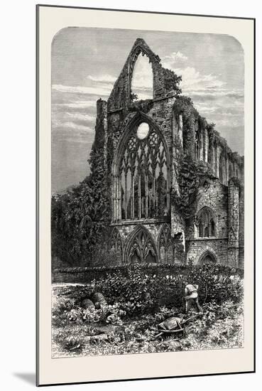 West Front of Tintern Abbey, UK, 19th Century-null-Mounted Giclee Print