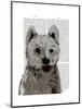 West Highland Terrier Plain-Fab Funky-Mounted Art Print