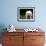 West Highland Terrier / Westie Panting-Adriano Bacchella-Framed Photographic Print displayed on a wall