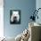 West Highland Terrier / Westie Puppy Walking-Adriano Bacchella-Photographic Print displayed on a wall