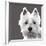 West Highland Terrier-Emily Burrowes-Framed Art Print