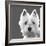 West Highland Terrier-Emily Burrowes-Framed Giclee Print