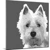 West Highland Terrier-Emily Burrowes-Mounted Giclee Print