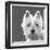 West Highland Terrier-Emily Burrowes-Framed Giclee Print