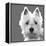 West Highland Terrier-Emily Burrowes-Framed Stretched Canvas