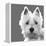 West Highland Terrier-Emily Burrowes-Framed Stretched Canvas