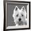 West Highland Terrier-Emily Burrowes-Framed Art Print