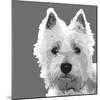 West Highland Terrier-Emily Burrowes-Mounted Art Print