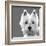 West Highland Terrier-Emily Burrowes-Framed Art Print