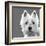 West Highland Terrier-Emily Burrowes-Framed Art Print