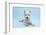 West Highland White Terrier Against a Blue Background-Mark Taylor-Framed Photographic Print