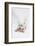 West Highland White Terrier Playing with Toy-Mark Taylor-Framed Photographic Print