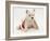 West Highland White Terrier Puppy in a Father Christmas Hat-Jane Burton-Framed Photographic Print