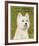 West Highland White Terrier-John W^ Golden-Framed Art Print