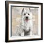 West Highland White Terrier-Keri Rodgers-Framed Giclee Print