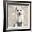 West Highland White Terrier-Keri Rodgers-Framed Art Print