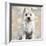 West Highland White Terrier-Keri Rodgers-Framed Art Print