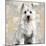 West Highland White Terrier-Keri Rodgers-Mounted Art Print