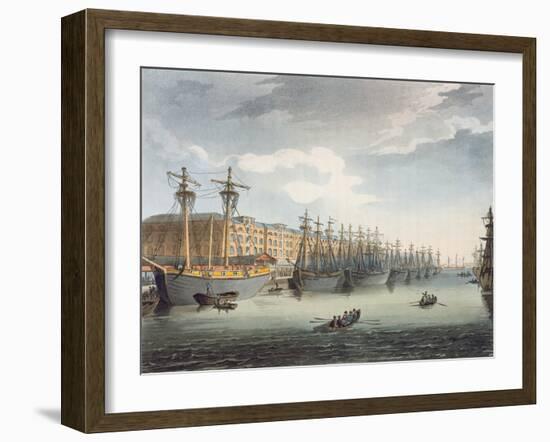 West India Docks, 1809 (Coloured Engraving)-T Rowlandson-Framed Giclee Print