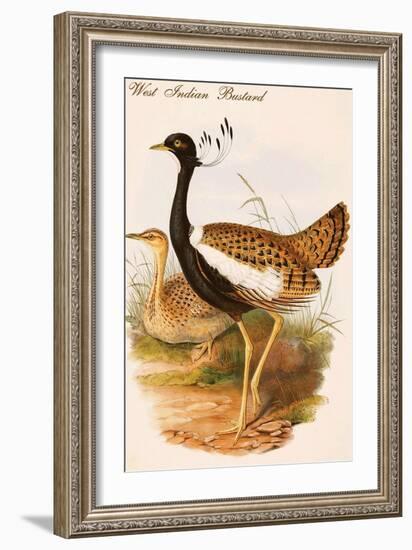 West Indian Bustard-John Gould-Framed Art Print