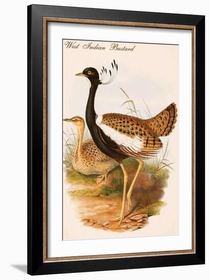 West Indian Bustard-John Gould-Framed Art Print