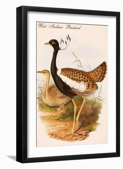 West Indian Bustard-John Gould-Framed Art Print