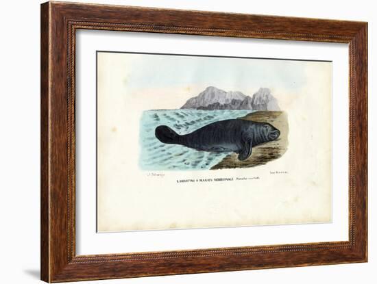 West Indian Manatee, 1863-79-Raimundo Petraroja-Framed Giclee Print