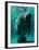 West Indian Manatee-Brandon Cole-Framed Art Print