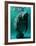 West Indian Manatee-Brandon Cole-Framed Art Print