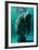 West Indian Manatee-Brandon Cole-Framed Art Print