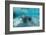 West Indian Manatee-Reinhard Dirscherl-Framed Photographic Print