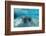 West Indian Manatee-Reinhard Dirscherl-Framed Photographic Print