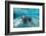 West Indian Manatee-Reinhard Dirscherl-Framed Photographic Print