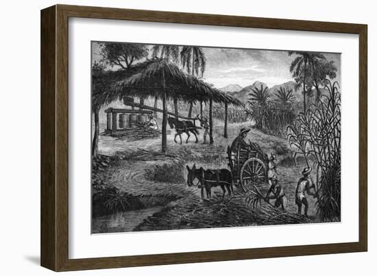 West Indies Sugar Plantation-R. Henkel-Framed Art Print