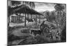 West Indies Sugar Plantation-R. Henkel-Mounted Art Print