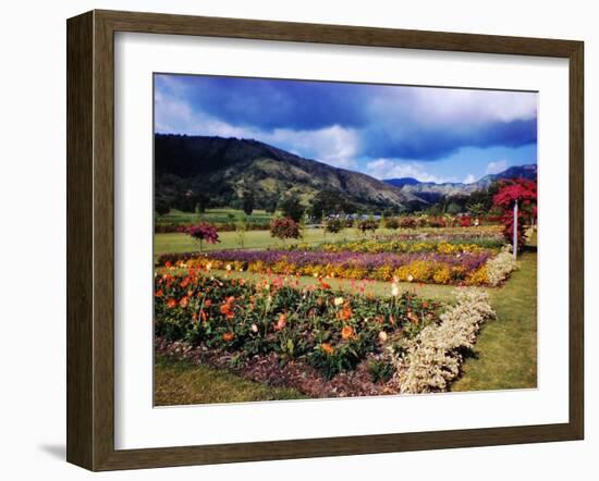 West Indies-Eliot Elisofon-Framed Photographic Print