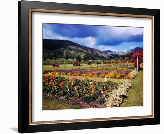 West Indies-Eliot Elisofon-Framed Photographic Print