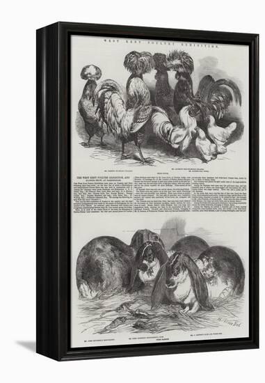West Kent Poultry Exhibition-Harrison William Weir-Framed Premier Image Canvas