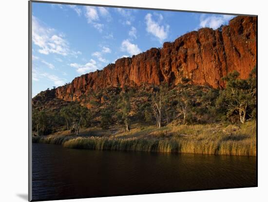 West Macdonnell National Park, Early Morning Sunlight on Glen Helen Gorge, Australia-William Gray-Mounted Photographic Print