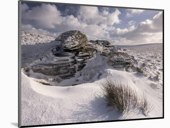 West Mill Tor, late evening light, Dartmoor, Devon, UK-Ross Hoddinott-Mounted Photographic Print