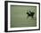 West Palm Beach, Florida-null-Framed Photographic Print