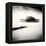 West Pier, Brighton, West Sussex-Craig Roberts-Framed Premier Image Canvas