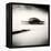 West Pier, Brighton, West Sussex-Craig Roberts-Framed Premier Image Canvas