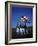 West Point Cadets Carrying US Flag-Dmitri Kessel-Framed Photographic Print