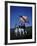 West Point Cadets Carrying US Flag-Dmitri Kessel-Framed Photographic Print