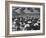 West Point Cadets Swarming into Bleachers for Army-Navy Game at Baltimore Stadium-Alfred Eisenstaedt-Framed Photographic Print