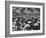 West Point Cadets Swarming into Bleachers for Army-Navy Game at Baltimore Stadium-Alfred Eisenstaedt-Framed Photographic Print