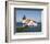 West Quoddy Head Light at Quoddy Head State Park in Lubec, Maine, Easternmost Point of Usa-Jerry & Marcy Monkman-Framed Photographic Print