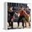 West Side Story, George Chakiris, 1961-null-Framed Stretched Canvas